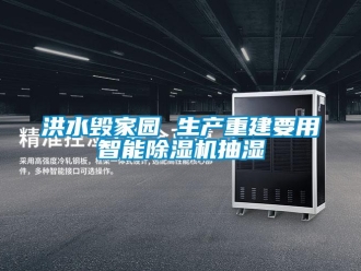 行業(yè)新聞洪水毀家園 生產(chǎn)重建要用智能除濕機抽濕