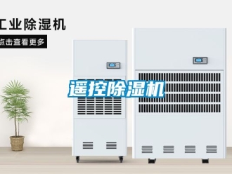 行業(yè)新聞遙控除濕機