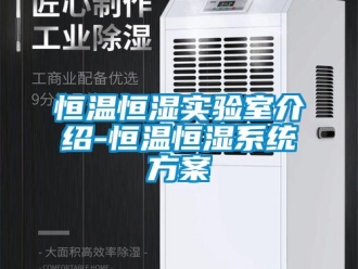 知識(shí)百科恒溫恒濕實(shí)驗(yàn)室介紹-恒溫恒濕系統(tǒng)方案