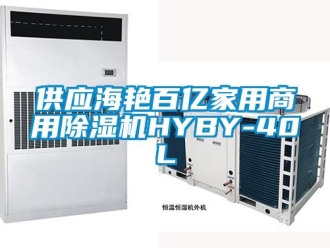 常見問題供應(yīng)海艷百億家用商用除濕機(jī)HYBY-40L