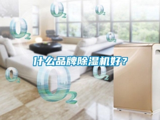 知識(shí)百科什么品牌除濕機(jī)好？