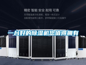 知識(shí)百科一臺(tái)好的除濕機(jī)您值得擁有