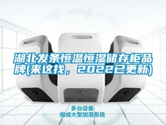 知識百科湖北發(fā)條恒溫恒濕儲存柜品牌(來這找，2022已更新)