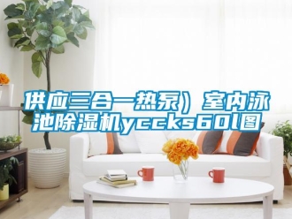 行業(yè)新聞供應(yīng)三合一熱泵）室內(nèi)泳池除濕機yccks60l圖