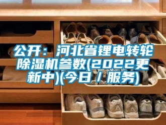 常見問題公開：河北省鋰電轉(zhuǎn)輪除濕機(jī)參數(shù)(2022更新中)(今日／服務(wù))