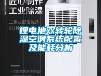 行業(yè)新聞鋰電池雙轉(zhuǎn)輪除濕空調(diào)系統(tǒng)配置及能耗分析