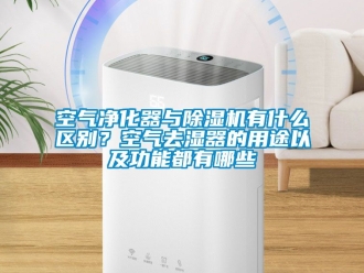 行業(yè)新聞空氣凈化器與除濕機(jī)有什么區(qū)別？空氣去濕器的用途以及功能都有哪些