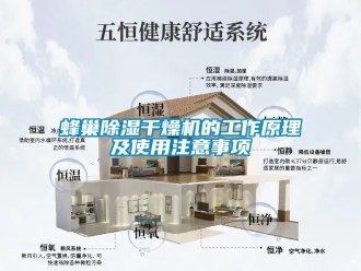 行業(yè)新聞蜂巢除濕干燥機(jī)的工作原理及使用注意事項(xiàng)