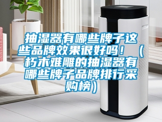 企業(yè)新聞抽濕器有哪些牌子這些品牌效果很好嗎?。ㄐ嗄倦y雕的抽濕器有哪些牌子品牌排行采購榜）