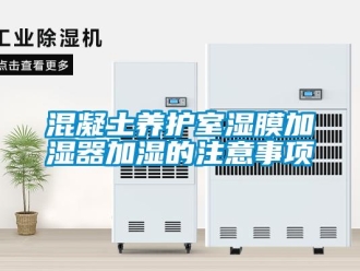 行業(yè)新聞混凝土養(yǎng)護室濕膜加濕器加濕的注意事項