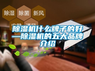 企業(yè)新聞除濕機(jī)什么牌子的好—除濕機(jī)的五大品牌介紹
