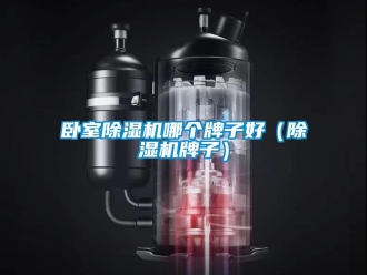 行業(yè)新聞臥室除濕機(jī)哪個(gè)牌子好（除濕機(jī)牌子）