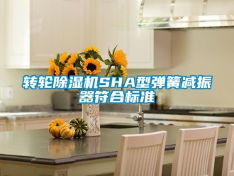 常見問題轉(zhuǎn)輪除濕機SHA型彈簧減振器符合標(biāo)準(zhǔn)