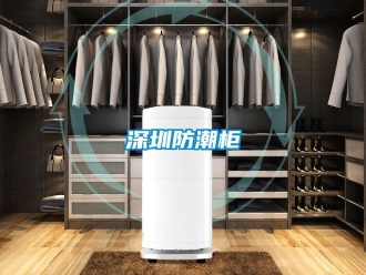 常見問題深圳防潮柜