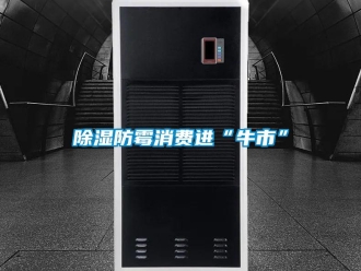 常見問題除濕防霉消費(fèi)進(jìn)“牛市”