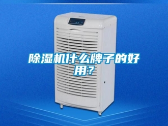 行業(yè)新聞除濕機(jī)什么牌子的好用？