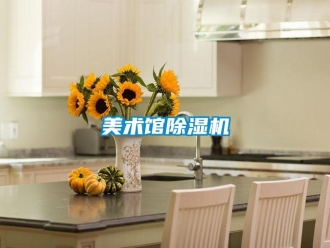 行業(yè)新聞美術(shù)館除濕機