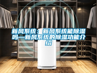 行業(yè)新聞新風(fēng)系統(tǒng)：新風(fēng)系統(tǒng)能除濕嗎—新風(fēng)系統(tǒng)的除濕功能介紹