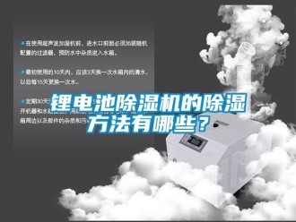 行業(yè)新聞鋰電池除濕機的除濕方法有哪些？