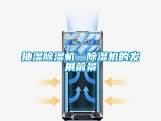 企業(yè)新聞抽濕除濕機(jī)—除濕機(jī)的發(fā)展前景
