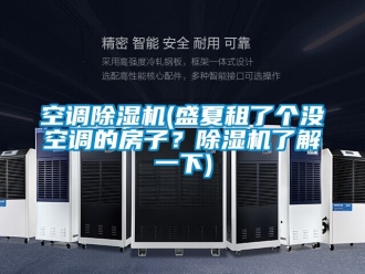 行業(yè)新聞空調(diào)除濕機(jī)(盛夏租了個(gè)沒空調(diào)的房子？除濕機(jī)了解一下)