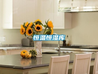 知識(shí)百科恒溫恒濕庫(kù)