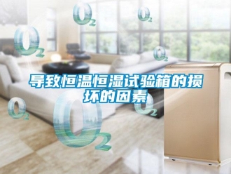 知識百科導(dǎo)致恒溫恒濕試驗(yàn)箱的損壞的因素