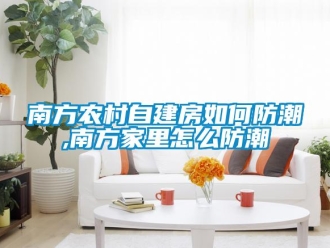 常見問題南方農(nóng)村自建房如何防潮,南方家里怎么防潮