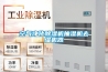 空氣凈化除濕機(jī)抽濕機(jī)去濕機(jī)器