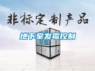 企業(yè)新聞地下室發(fā)霉控制