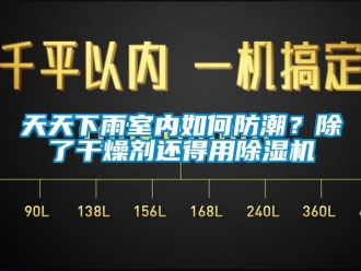 行業(yè)新聞天天下雨室內(nèi)如何防潮？除了干燥劑還得用除濕機(jī)