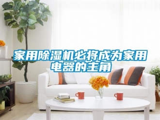 行業(yè)新聞家用除濕機必將成為家用電器的主角