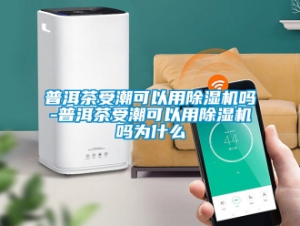 行業(yè)新聞普洱茶受潮可以用除濕機(jī)嗎-普洱茶受潮可以用除濕機(jī)嗎為什么