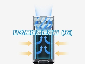 知識百科什么是恒溫恒濕箱（五)