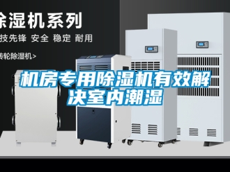 行業(yè)新聞機(jī)房專用除濕機(jī)有效解決室內(nèi)潮濕