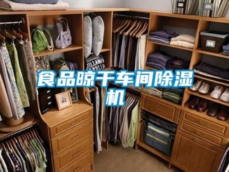 知識百科食品晾干車間除濕機(jī)