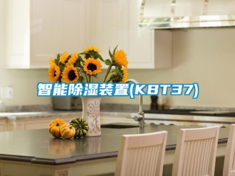 行業(yè)新聞智能除濕裝置(KBT37)