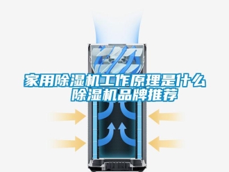 企業(yè)新聞家用除濕機(jī)工作原理是什么  除濕機(jī)品牌推薦