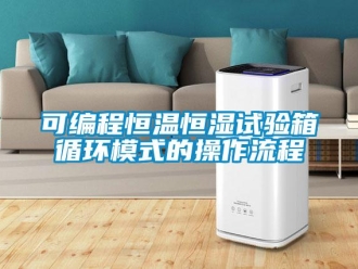 知識百科可編程恒溫恒濕試驗箱循環(huán)模式的操作流程