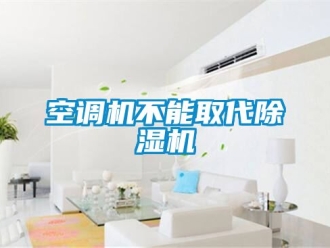行業(yè)新聞空調(diào)機(jī)不能取代除濕機(jī)