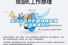 濕冷空氣會影響身體健康？除濕機(jī)來幫忙