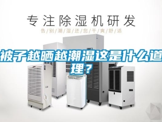 常見問題被子越曬越潮濕這是什么道理？