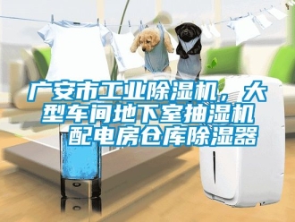 常見問題廣安市工業(yè)除濕機(jī)，大型車間地下室抽濕機(jī)  配電房倉庫除濕器
