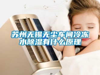 企業(yè)新聞蘇州無錫無塵車間冷凍水除濕有什么原理
