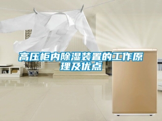行業(yè)新聞高壓柜內(nèi)除濕裝置的工作原理及優(yōu)點(diǎn)