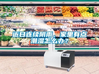常見(jiàn)問(wèn)題近日連續(xù)陰雨，家里有點(diǎn)潮濕怎么辦？