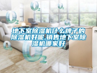 行業(yè)新聞地下室除濕機什么牌子的除濕機好呢,銷售地下室除濕機哪家好
