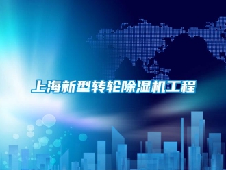 常見問題上海新型轉(zhuǎn)輪除濕機(jī)工程