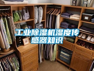 常見(jiàn)問(wèn)題工業(yè)除濕機(jī)濕度傳感器知識(shí)