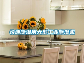 常見(jiàn)問(wèn)題快速除濕用大型工業(yè)除濕機(jī)